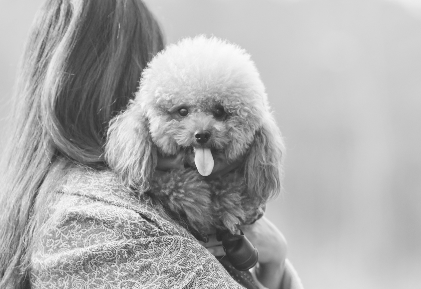 只今開催中のキャンペーンはこちらです♪