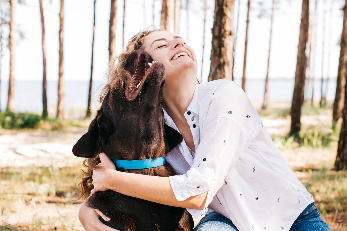 保護犬や保護猫活動を応援Happy Bridgeプロジェクト